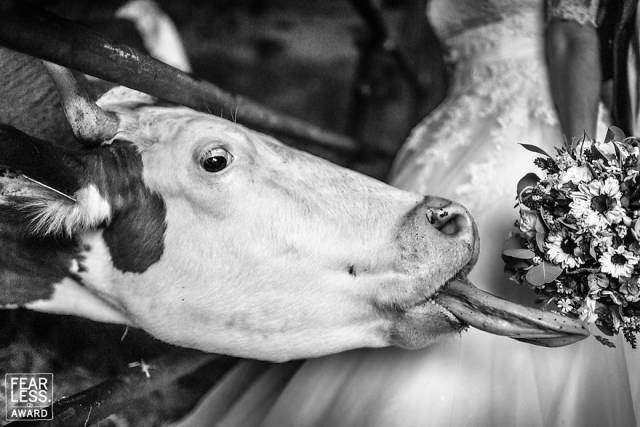 The Best Wedding Photos Of 2018 Show Why You Always Need A Good Photographer At Weddings