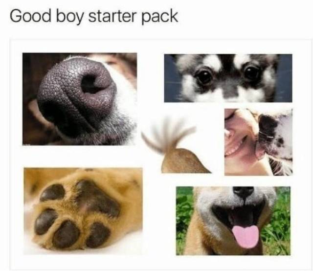 There Is A Starter Pack For Everything