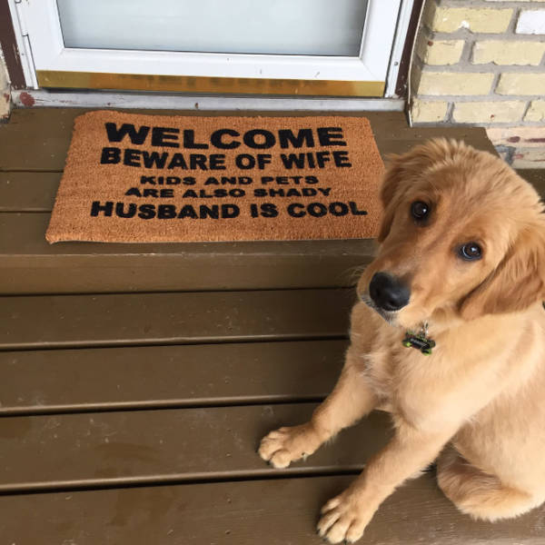 Doormats That Are Much More Than Just Feet Wipers