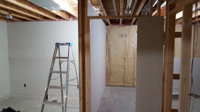 Man Builds An Entire Basement Jungle For His Late Brother’s Cats