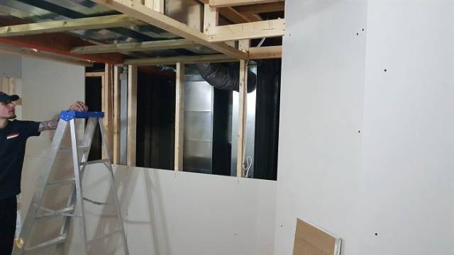 Man Builds An Entire Basement Jungle For His Late Brother’s Cats