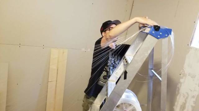 Man Builds An Entire Basement Jungle For His Late Brother’s Cats