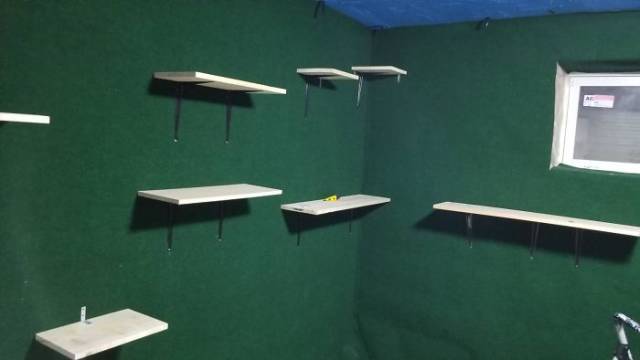 Man Builds An Entire Basement Jungle For His Late Brother’s Cats