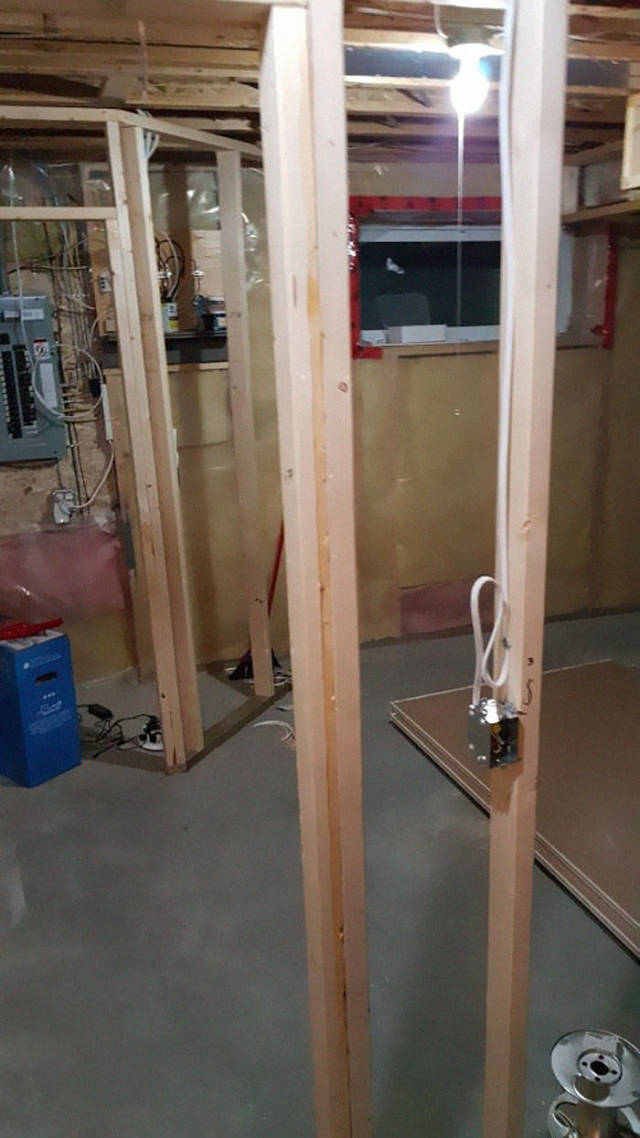 Man Builds An Entire Basement Jungle For His Late Brother’s Cats
