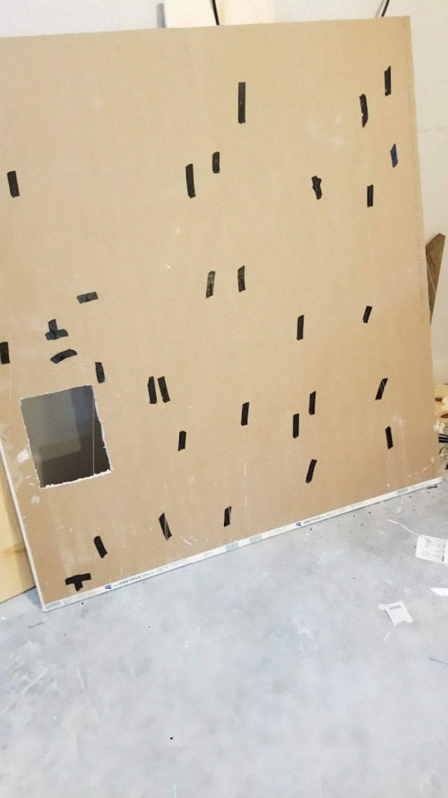 Man Builds An Entire Basement Jungle For His Late Brother’s Cats