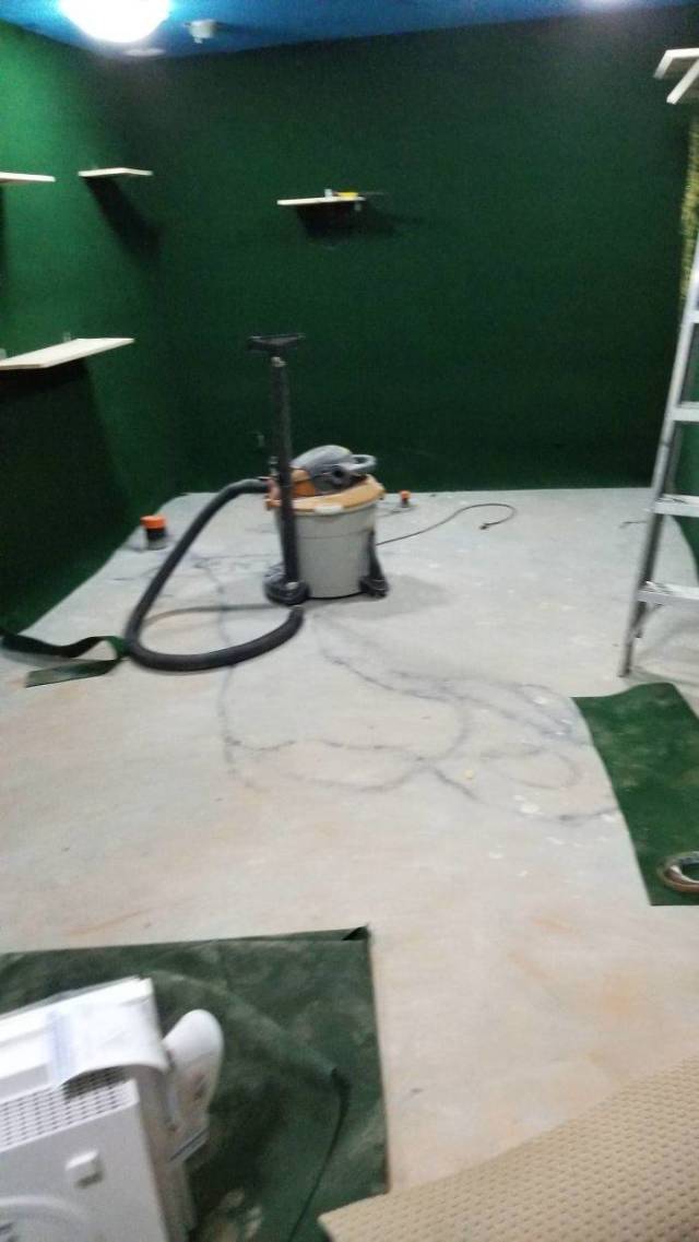 Man Builds An Entire Basement Jungle For His Late Brother’s Cats