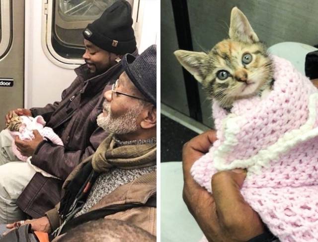 People And Animals Who Are Definitely Having the Best Day of Their Life