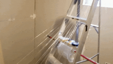 Man Builds An Entire Basement Jungle For His Late Brother’s Cats