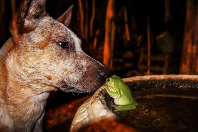 Fine Examples When A Picture Says More Than Just A Thousand Words