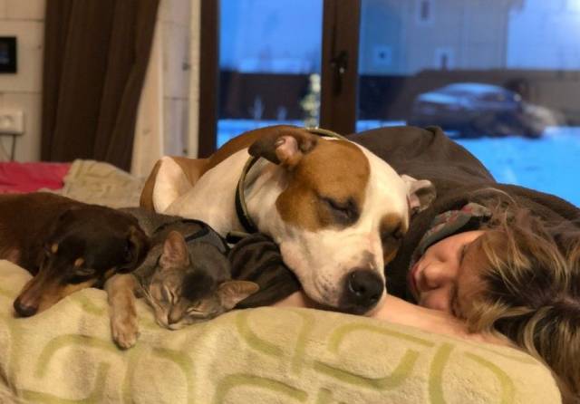 Fine Examples When A Picture Says More Than Just A Thousand Words