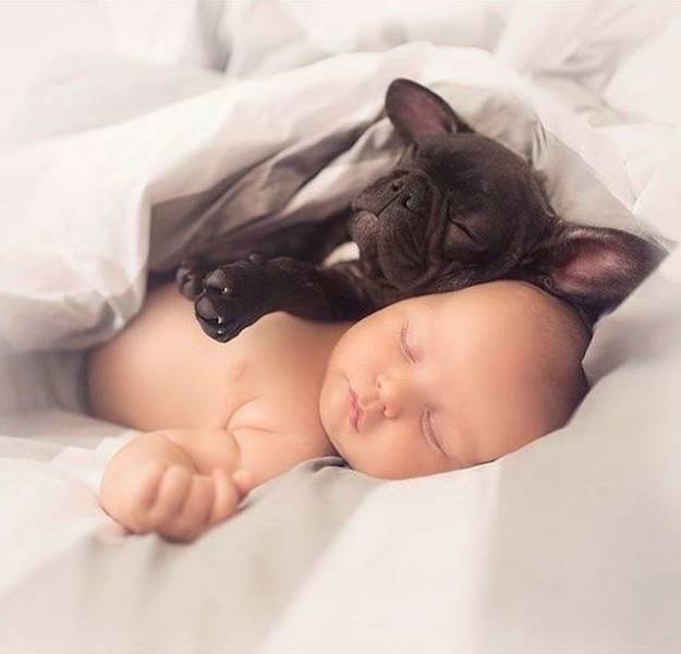 Fine Examples When A Picture Says More Than Just A Thousand Words