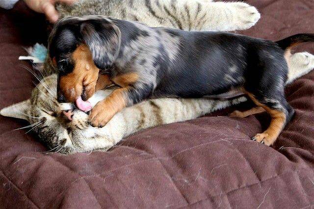 Fine Examples When A Picture Says More Than Just A Thousand Words