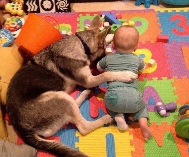 Fine Examples When A Picture Says More Than Just A Thousand Words