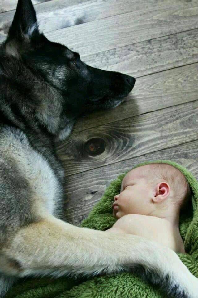 Fine Examples When A Picture Says More Than Just A Thousand Words