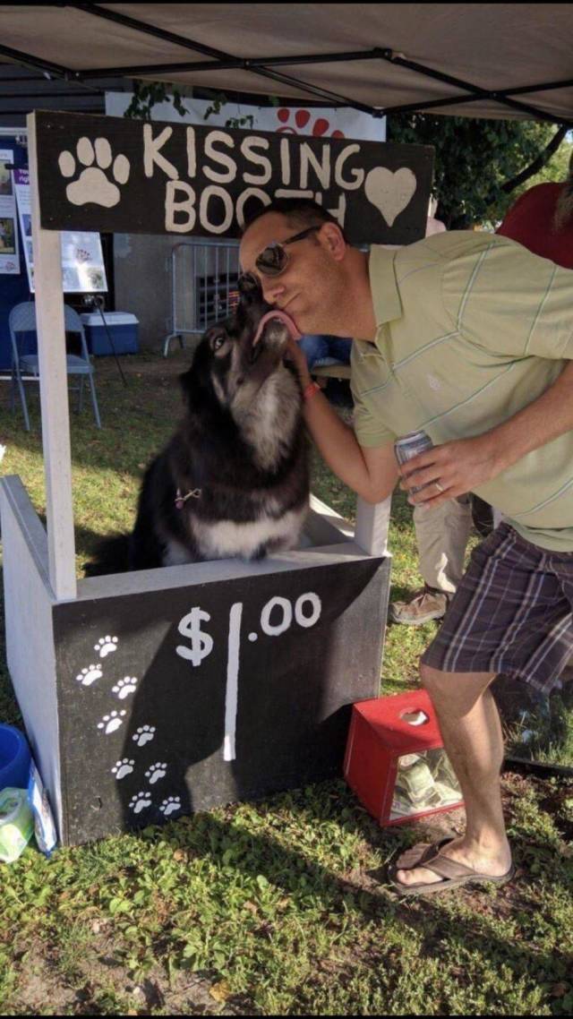 Fine Examples When A Picture Says More Than Just A Thousand Words