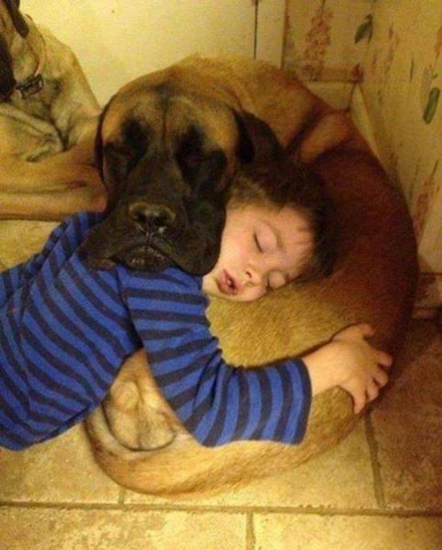 Fine Examples When A Picture Says More Than Just A Thousand Words