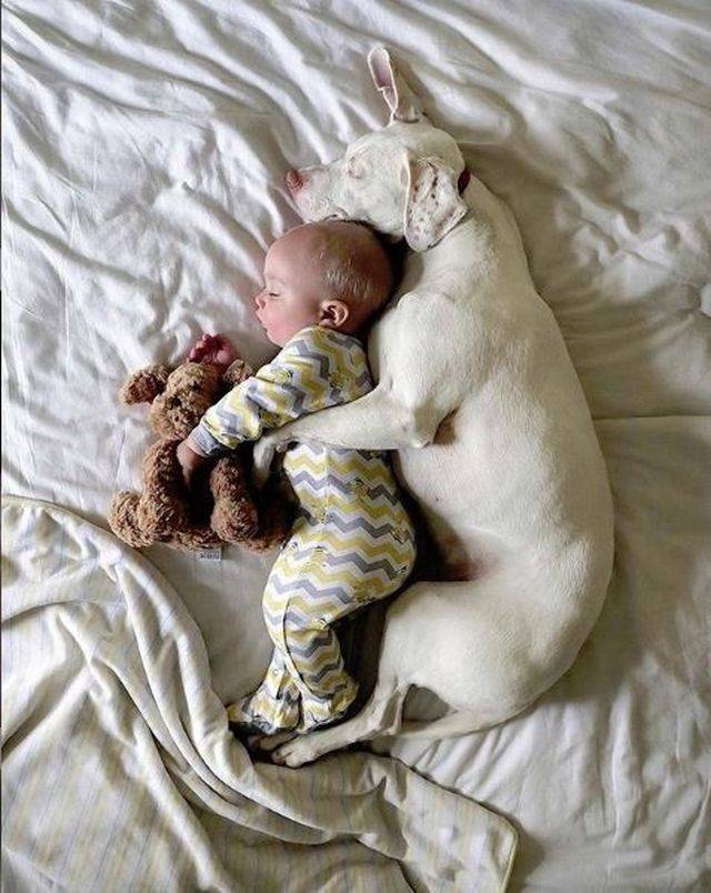 Fine Examples When A Picture Says More Than Just A Thousand Words