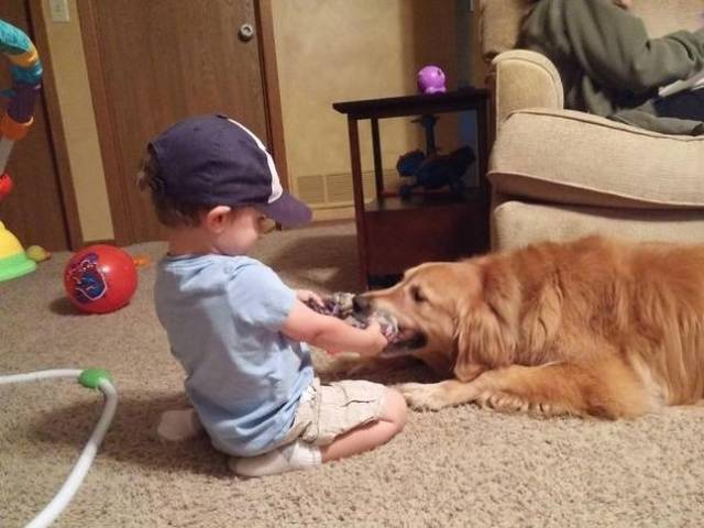 Kids + Dogs = Love Forever
