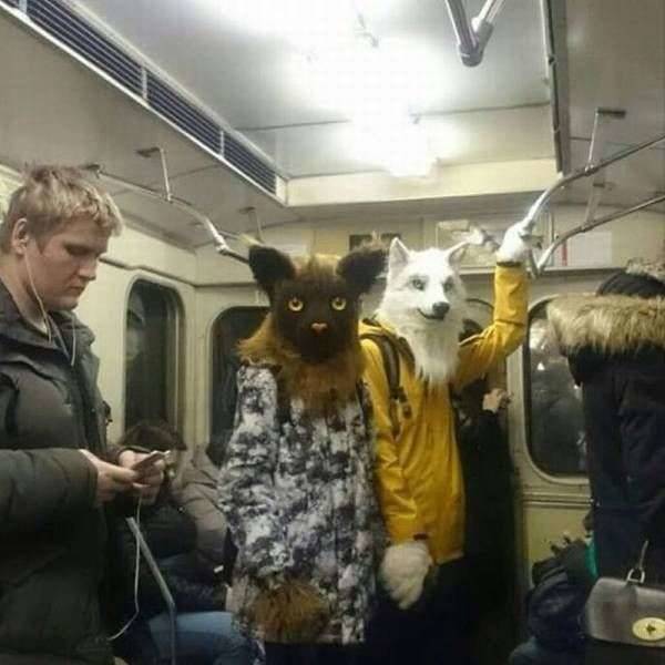Morning Picdump