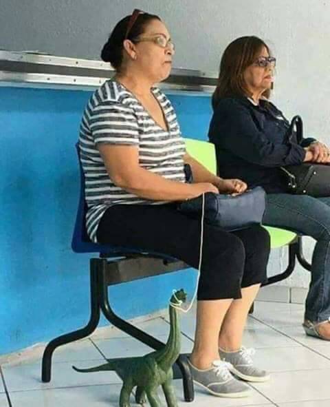 Morning Picdump