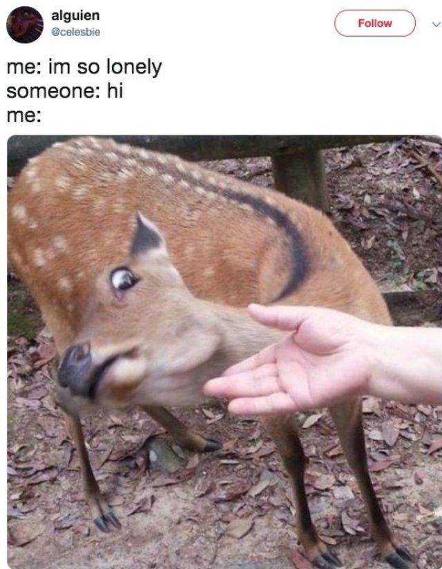 Making Friends As An Adult Is A Torture