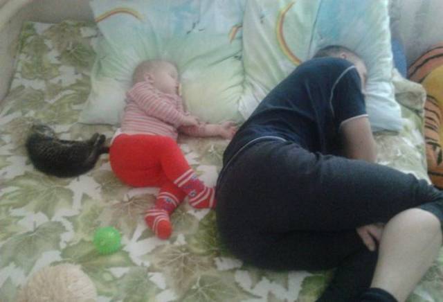 Daily Picdump