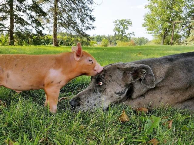 Daily Picdump