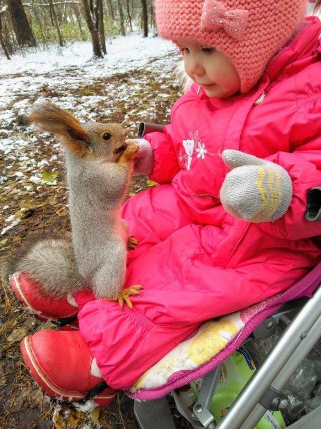 Daily Picdump