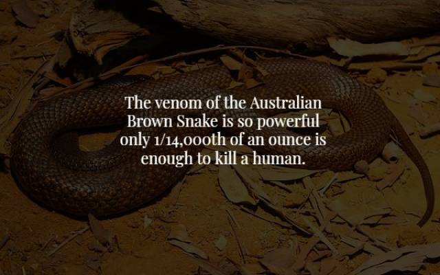 These Facts Will Give You Chills, Quite Literally