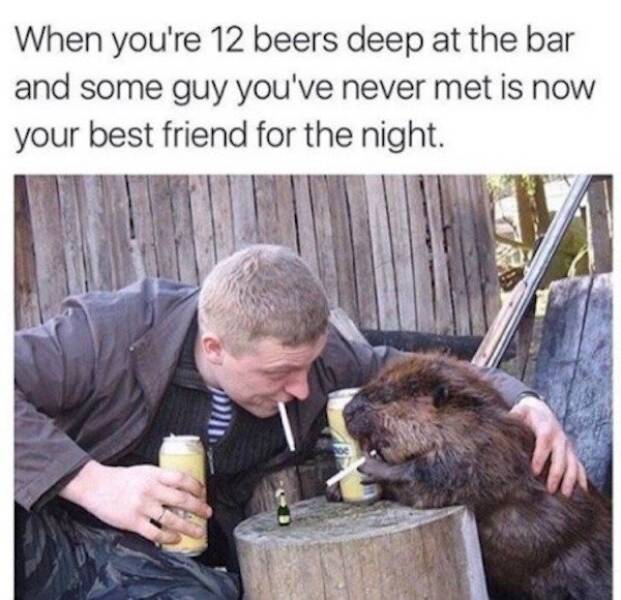 This Might Be the Effects of One Drink too Many