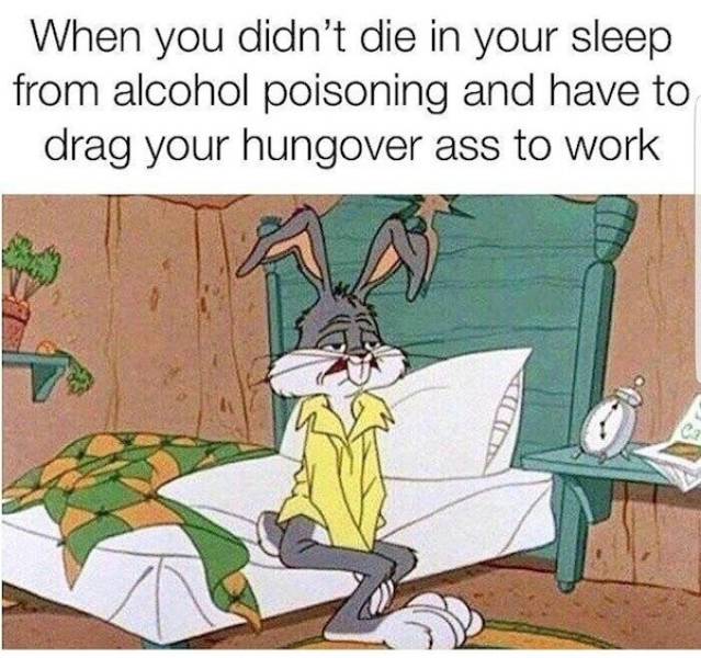 This Might Be the Effects of One Drink too Many