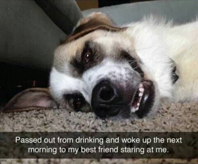 This Might Be the Effects of One Drink too Many