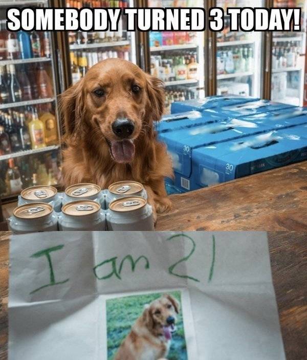 This Might Be the Effects of One Drink too Many