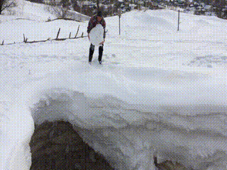 daily_gifdump_2977_20.gif
