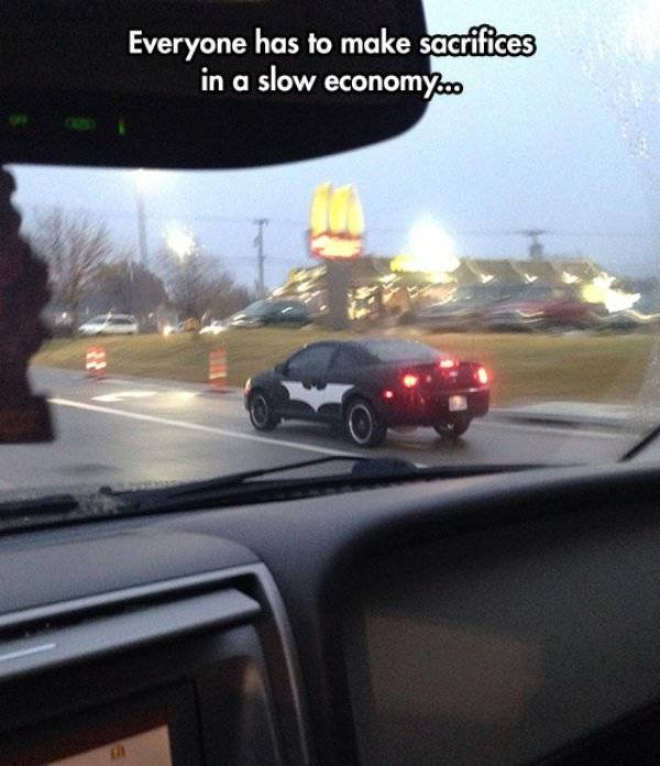 A Little Bit of Car Humor to Make Your Day