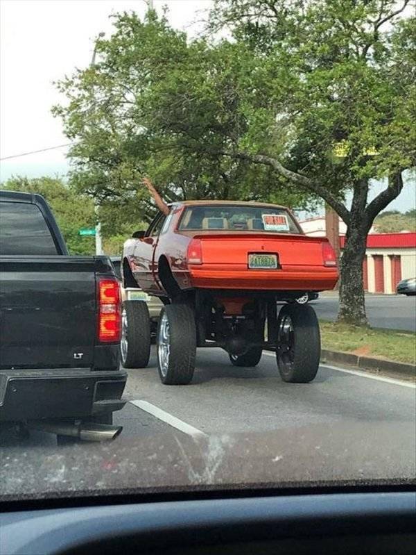 A Little Bit of Car Humor to Make Your Day