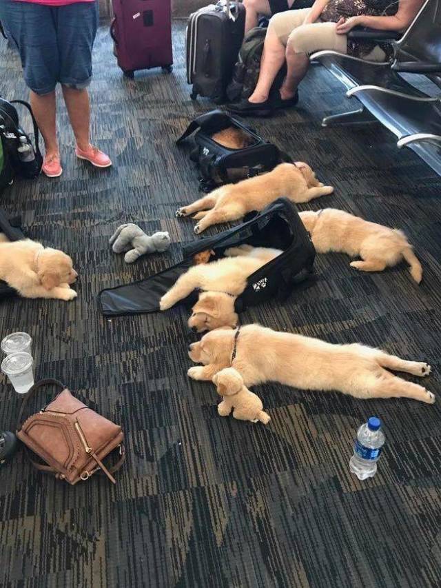 Anything Can Happen At The Airport