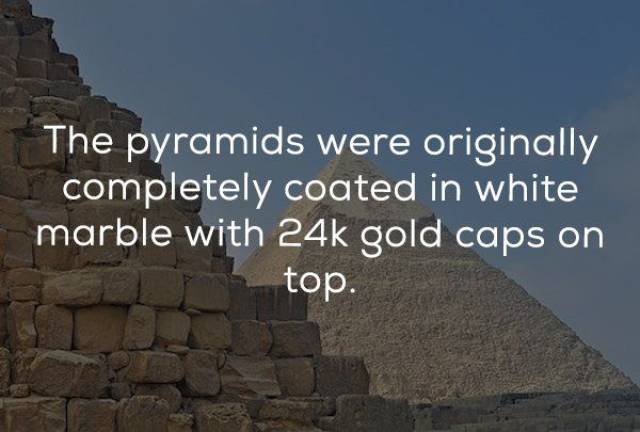 Epic And Unexpected History Facts