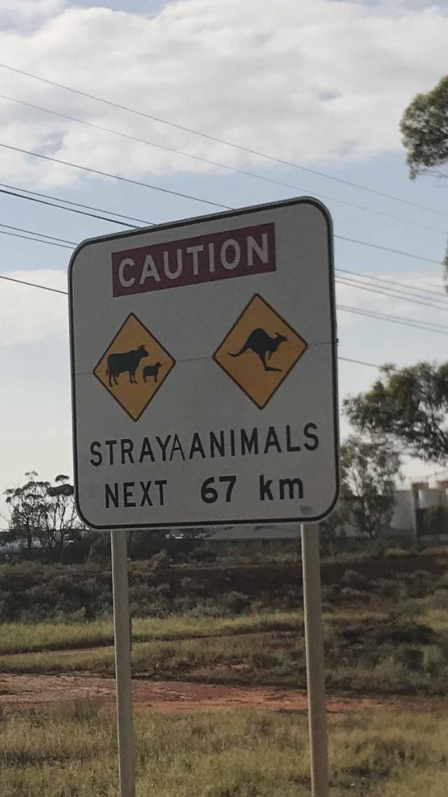 Australia Has It All