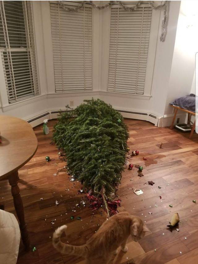 For Some People Christmas Wasn’t Very Merry