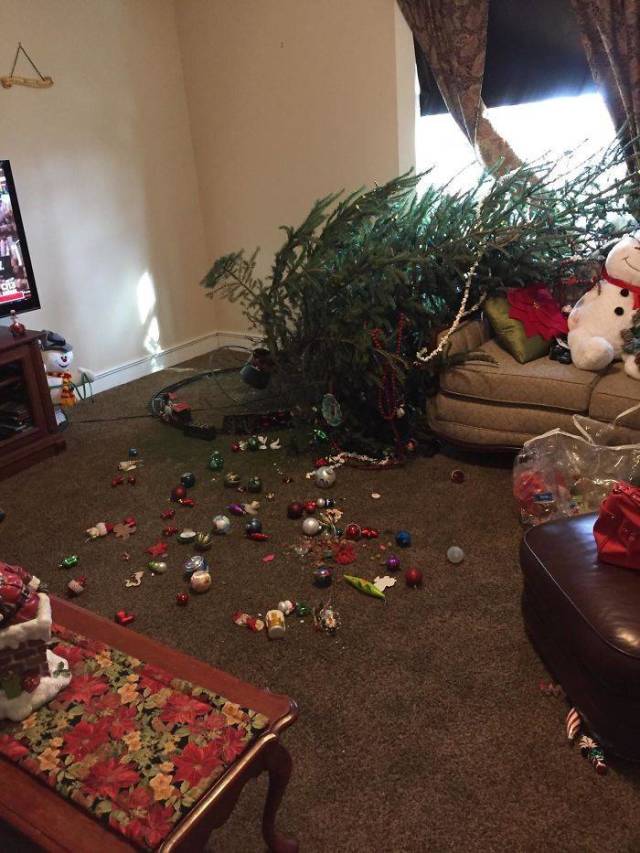 For Some People Christmas Wasn’t Very Merry