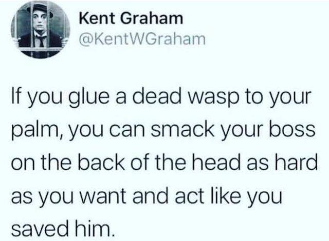 Work Memes For Those Who Feel This Pain Work Memes For Those Who Feel This Pain