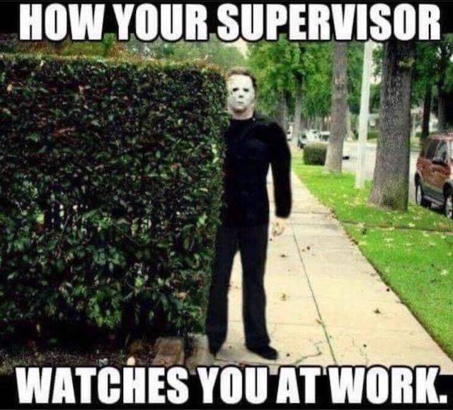 Work Memes For Those Who Feel This Pain Work Memes For Those Who Feel This Pain