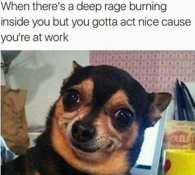 Work Memes For Those Who Feel This Pain Work Memes For Those Who Feel This Pain
