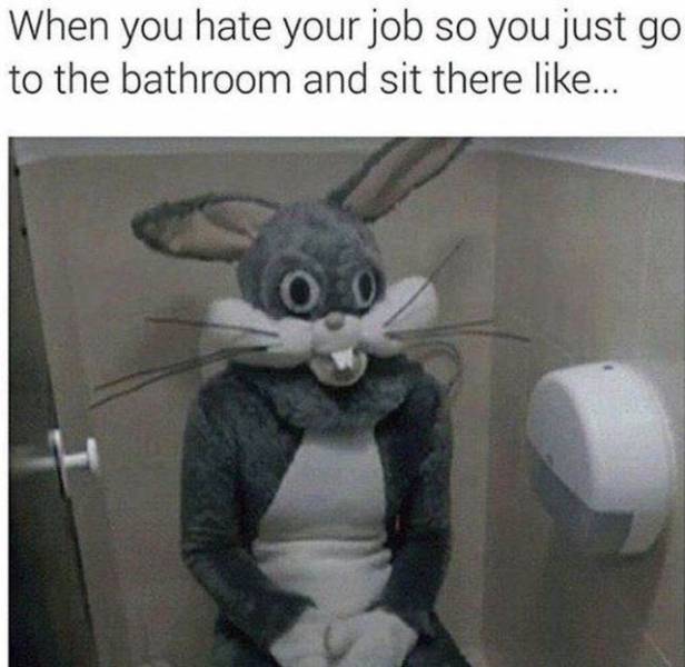 Work Memes For Those Who Feel This Pain Work Memes For Those Who Feel This Pain