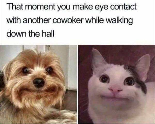 Work Memes For Those Who Feel This Pain Work Memes For Those Who Feel This Pain