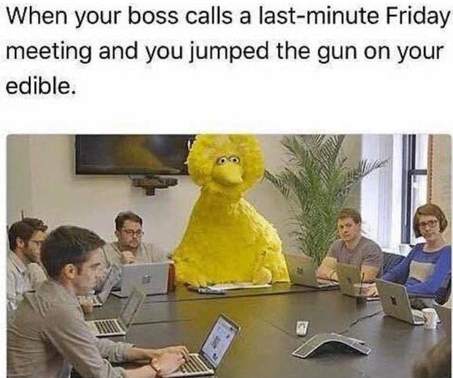 Work Memes For Those Who Feel This Pain Work Memes For Those Who Feel This Pain