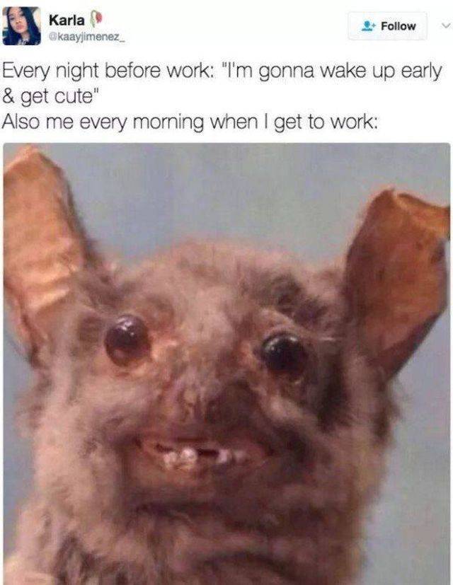 Work Memes For Those Who Feel This Pain Work Memes For Those Who Feel This Pain