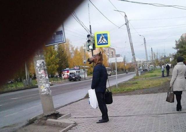 Daily Picdump