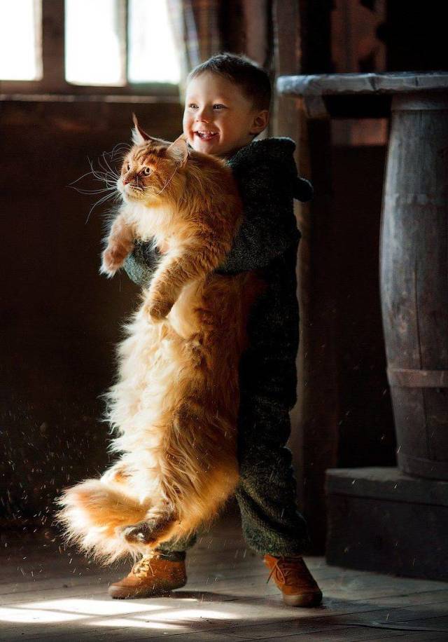 Daily Picdump